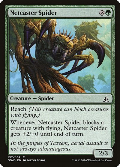 2016 Magic: The Gathering: Oath of the Gatewatch (OGW) - Netcaster Spider (#137, Common) (, Lightly Played)