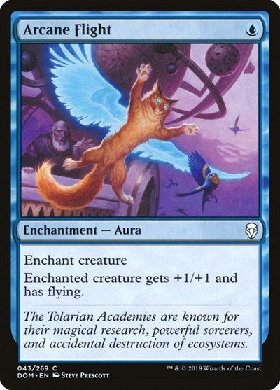 2018 Magic: The Gathering: Dominaria (DOM) - Arcane Flight (#43, Common) (, Moderately Played)