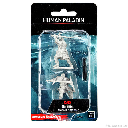 D&D: Nolzur's Marvelous Miniatures — Male Human Paladin