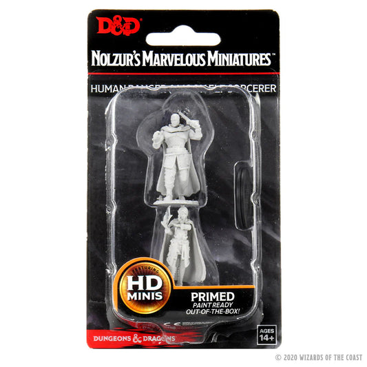 D&D: Nolzur's Marvelous Miniatures — Human Ranger & Moon Elf Sorcerer